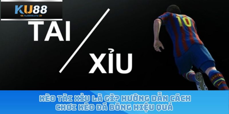 Kèo Tài Xỉu Là Gì? Hướng Dẫn Cách Chơi Kèo Đá Bóng Hiệu Quả